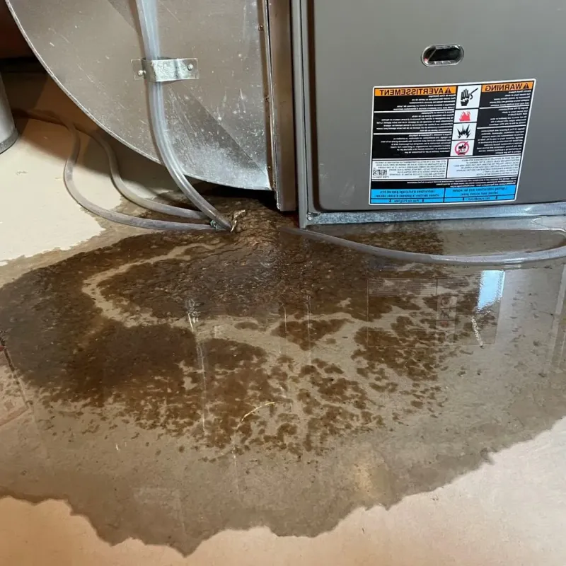 Pipe Burst and Leak Restoration in Lafayette County, MS